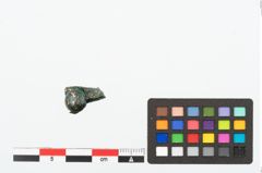 Foto von Bronzeknopf (NHMW-PRAE-025158)